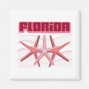 Aimant Étoiles de mer de la Floride