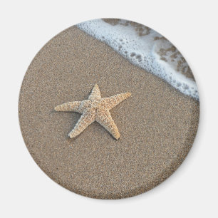 Aimant Étoiles de mer sur la plage
