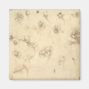 Aimant Étude des fleurs de Herbe-comme des plantes (Briz