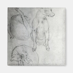 Aimant Étude d'un chien et d'un chat, c.1480
