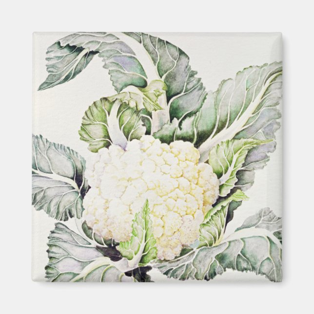 Aimant Étude sur le chou-fleur 1993 (Devant)