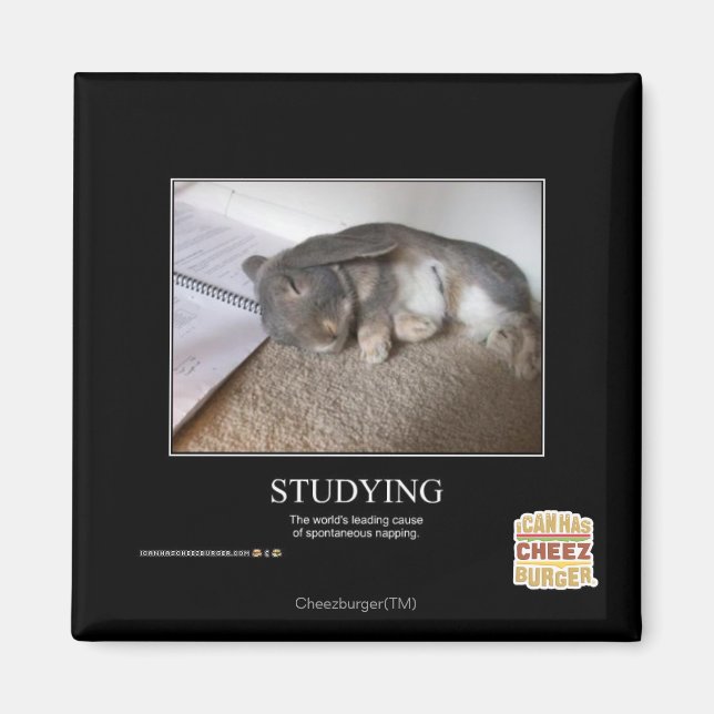 Aimant Étudier (Devant)