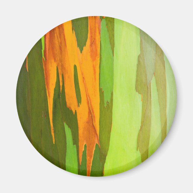 Aimant Eucalyptus arc-en-ciel écorce, Hawaii (Devant)