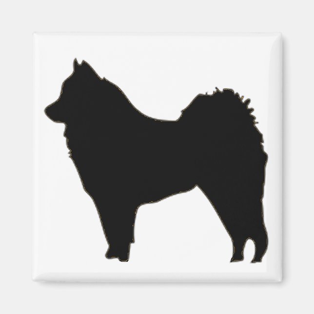 Aimant eurasier (Devant)