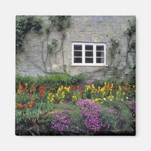 Aimant Europe, Angleterre, Teffont Magna. Fleurs rempliss