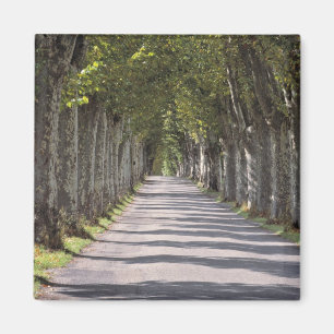 Aimant Europe, France, Cereste. Des arbres bordent cette 