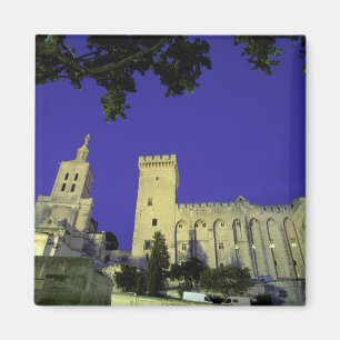 Aimant Europe, France, Provence, Avignon. Palais des