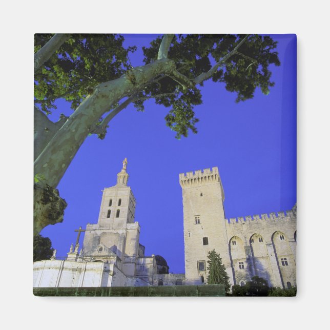 Aimant Europe, France, Provence, Vaucluse, Avignon. (Devant)