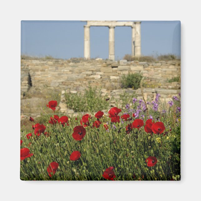 Aimant Europe, Grèce, Cyclades, Delos. Ruines de colonne. (Devant)