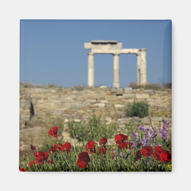Aimant Europe, Grèce, Cyclades, Délos. Ruines de colonnes (Devant)