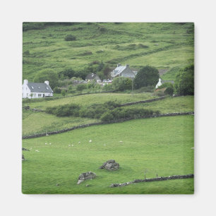 Aimant Europe, Irlande, Comté de Kerry, Circuit de Kerry.