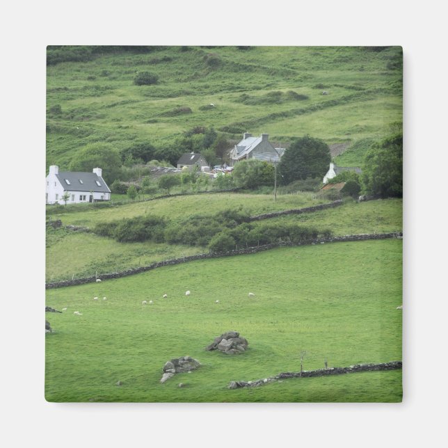 Aimant Europe, Irlande, Comté de Kerry, Circuit de Kerry. (Devant)