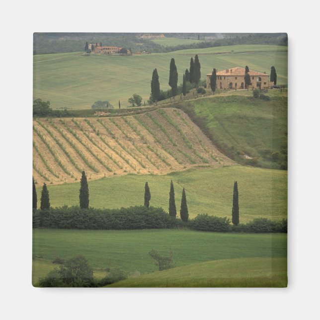 Aimant Europe, Italie, Toscane, Val d'Orcia, Toscan (Devant)