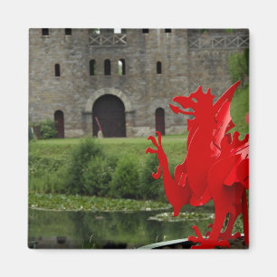 Aimant Europe, Pays de Galles, Cardiff. Château de Cardif