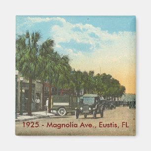 Aimant EUSTIS, FL - 1925 - avenue de magnolia