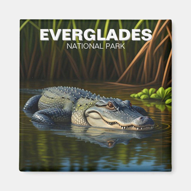 Aimant Everglades Parc National Floride Alligator Voyage (Devant)