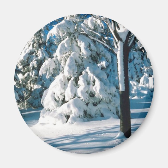 Aimant Evergreens couverts de neige (Devant)