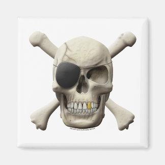 Aimant Evil Pirate Skull & Crossbones