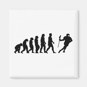 Aimant Évolution