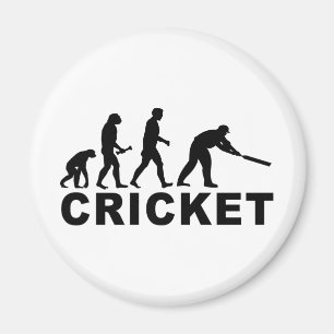 Aimant Évolution de cricket