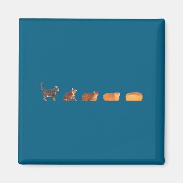 Aimant Évolution du pain de mie de chat maman chat drôle  (Devant)
