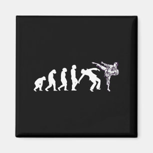 Aimant Évolution Taekwondo Karaté Aikido Ju Jutsu Kung Fu