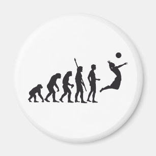 Aimant evolvolley