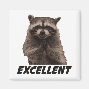Aimant Excellent Raccoon de lot de mal