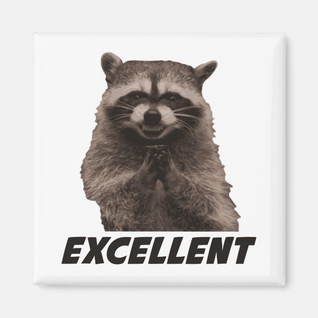 Aimant Excellent Raccoon de lot de mal (Devant)