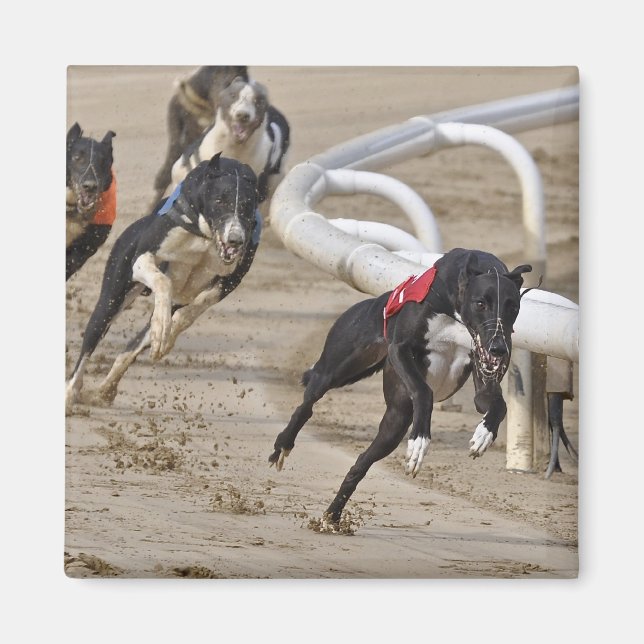 Aimant Exécuter sur la ligne (Devant)