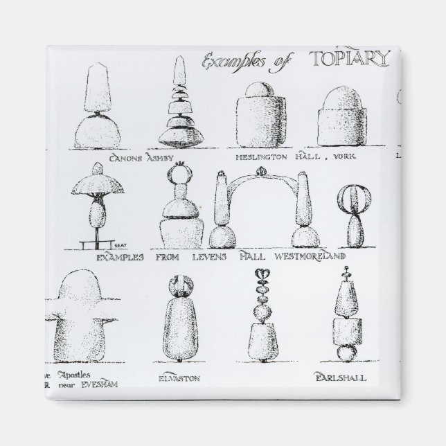 Aimant Exemples de travaux opiaires, 1902 (gravure) (b/w/ (Devant)
