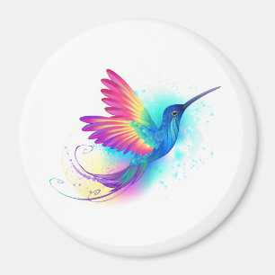 Aimant Exotic Rainbow Hummingbird
