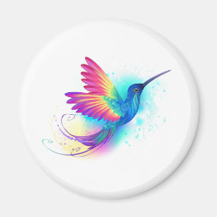 Aimant Exotic Rainbow Hummingbird