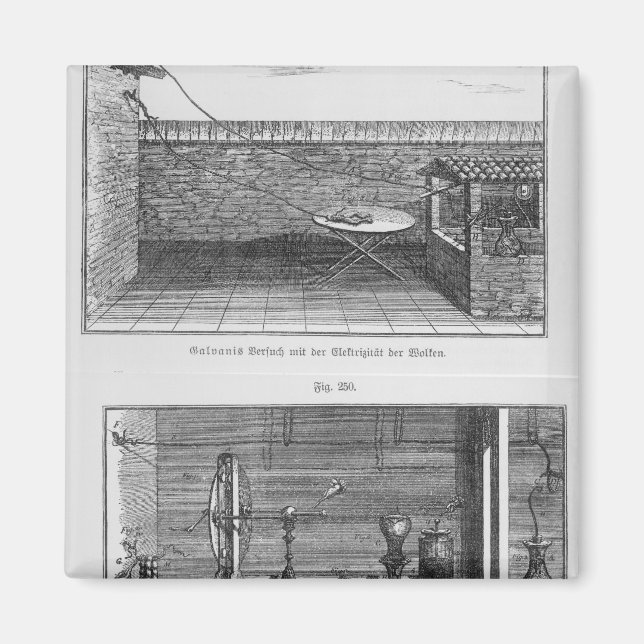 Aimant Expérience sur les grenouilles par Louis Galvani (Devant)
