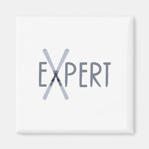 Aimant Expert