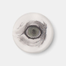 Eye of the Fox – Gaze Collection