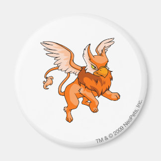 Aimant Eyrie Orange