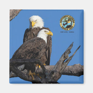 Aimant F23 et M15 - Une nouvelle ère dans le nid