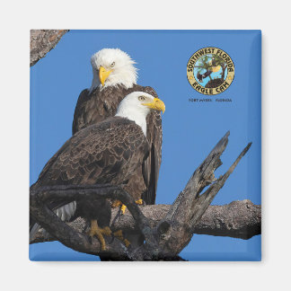 Aimant F23 et M15 - Une nouvelle ère dans le nid