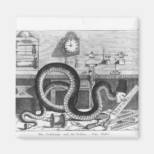 Aimant Fable du serpent et des dossiers