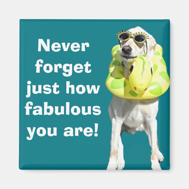 Aimant Fabuleux (Devant)