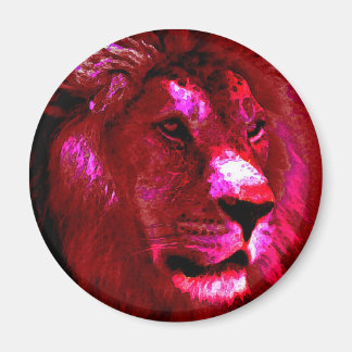 Aimant Face du lion