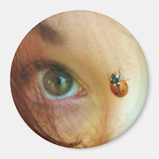 Aimant face ladybug