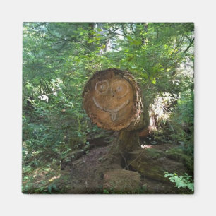 Aimant Face sur un arbre