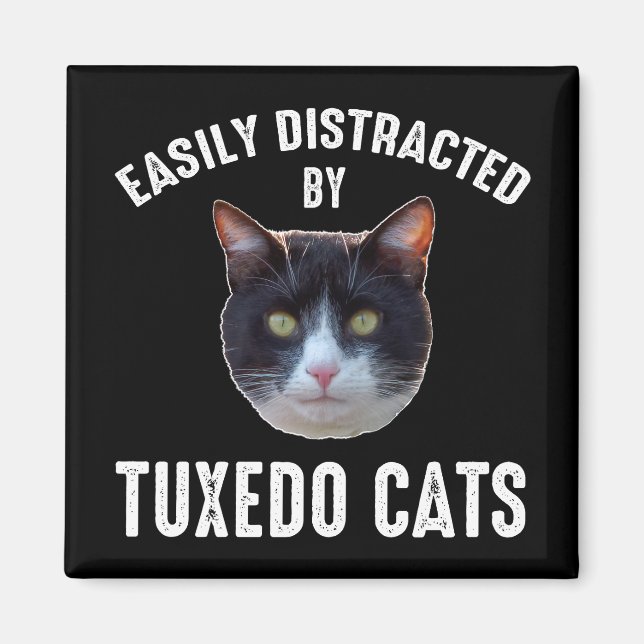 Aimant Facilement Distrait Par Les Chats Tuxedo (Devant)