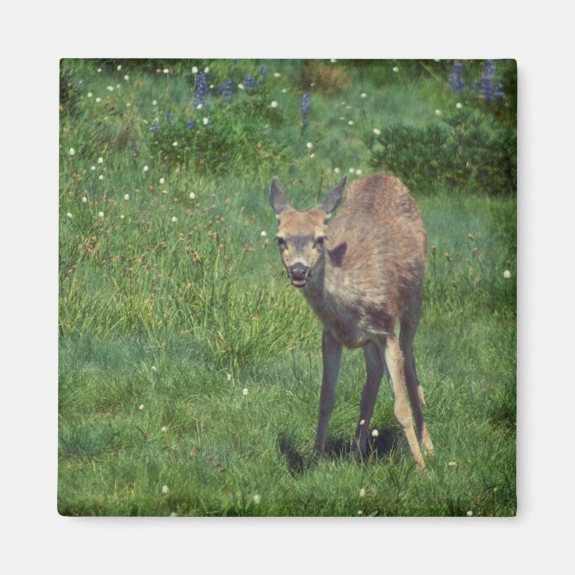 Aimant Faire face (Devant)