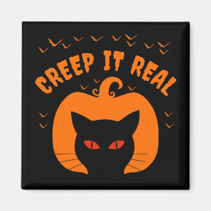 AIMANT FAIRE LE FOU DRÔLE CHAT HALLOWEEN