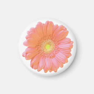 Aimant Faisée de gerbera orange