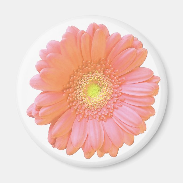 Aimant Faisée de gerbera orange (Devant)