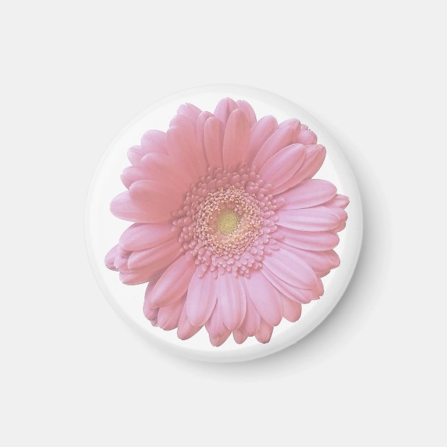 Aimant Faisée de gerbera rose pâle (Devant)